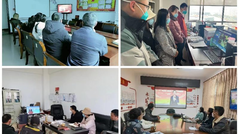 K12在线教育系统开发成本：影响因素与优化策略